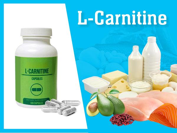 bulk-l-carnitine-powder-application bulk-l-carnitine-powder-application